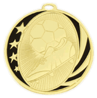 1st Place Wayfare Medal Gold