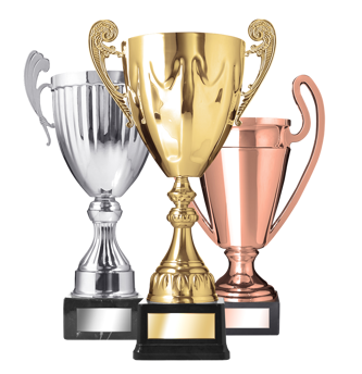 1st Place Wayfare Medal Gold