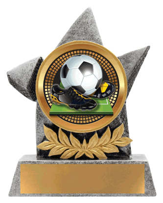 1st Place Wayfare Medal Gold